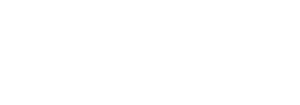 SVJ Jungmannova